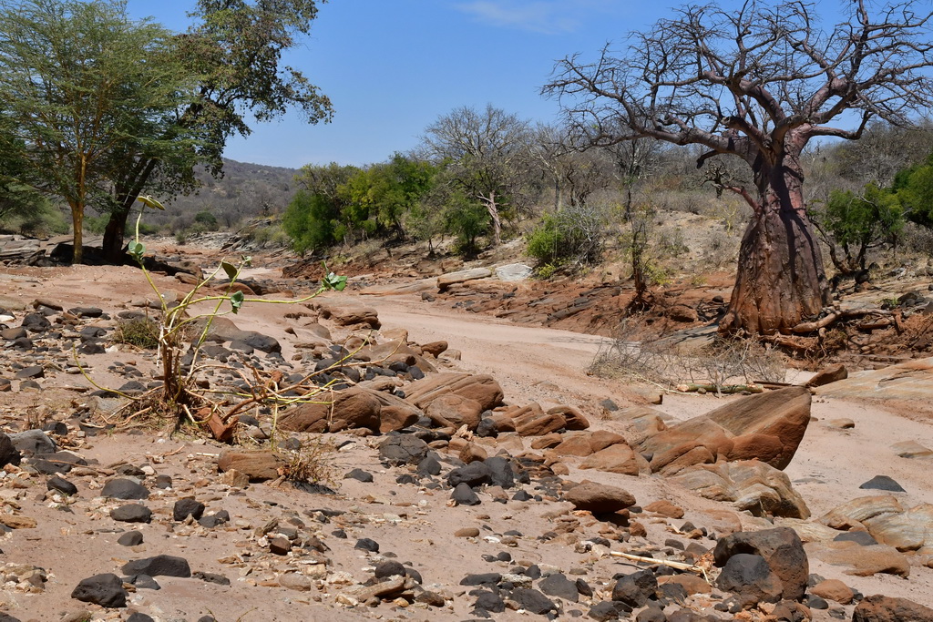 Lake Eyasi region